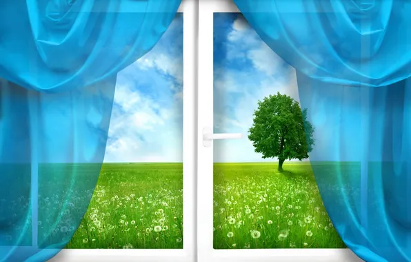 Picture field, grass, tree, window, curtains, dandelions
