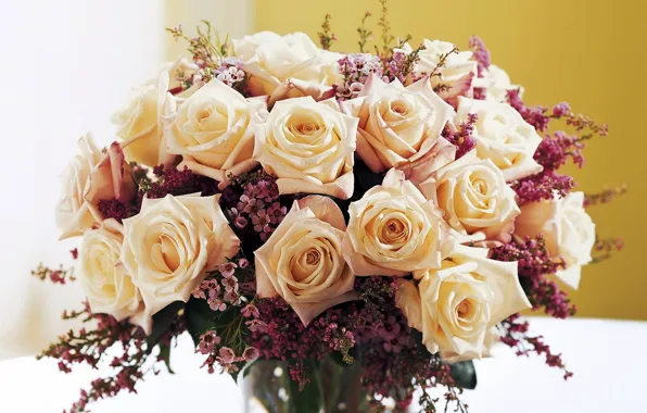 Flowers, roses, bouquet, cream, beige