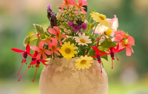 Picture chamomile, vase, lavender, fuchsia, pelargonium, summer bouquet, Erysimum