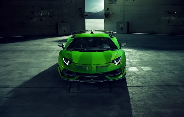 Lamborghini, supercar, front view, Aventador, Novitec, SVJ, 2019, Aventador SVJ