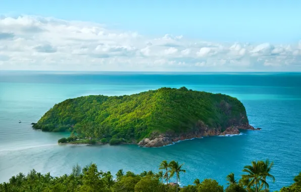 Picture greens, the ocean, Paradise, ostow