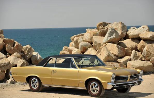 Pontiac, GTO, Muscle Car
