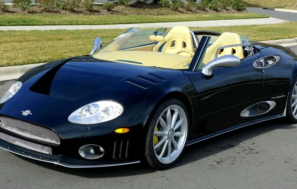 Picture black, 2006, Roadster, Spyker, exterior, sports car, Spyker C8 Spyder