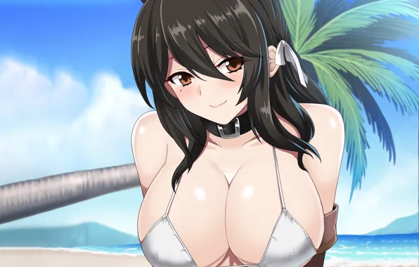 Girl, sexy, cleavage, beach, long hair, sea, brown eyes, boobs