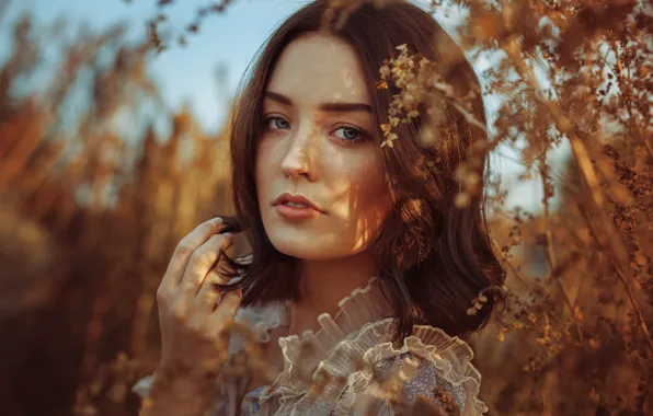 Wallpaper look, the sun, branches, nature, pose, model, portrait ...