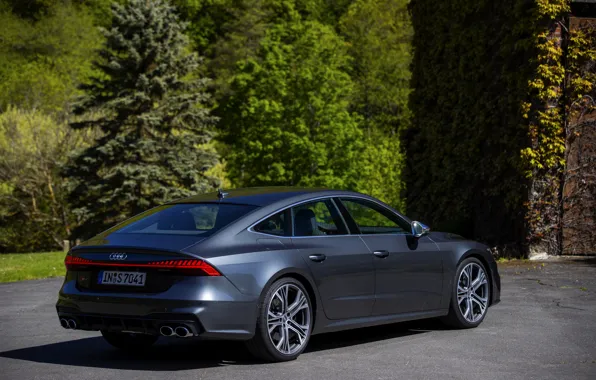 Picture greens, trees, Audi, Audi A7, the five-door, Sportback, 2019, S7 Sportback