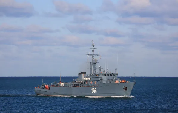 Sea, minesweeper, Vice Admiral Zakhar'in, author Novice1975
