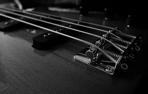 Picture guitar, strings