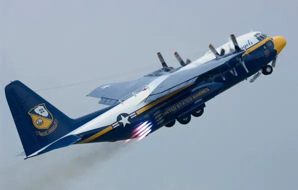 The plane, group, large, USA, BBC, Lockheed C-130 Hercules, flight., Blue Angels