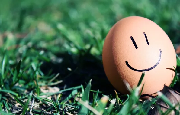 Macro, smile, mood, egg, smile, weed