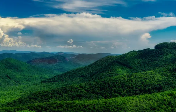 Picture greens, forest, clouds, mountains, blue, slope