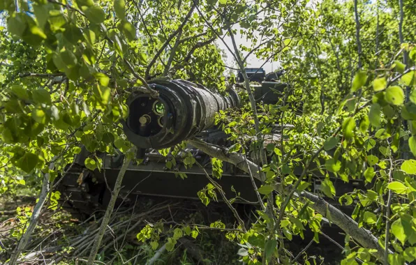 The barrel, tank, the bushes, combat, Leopard 2A6