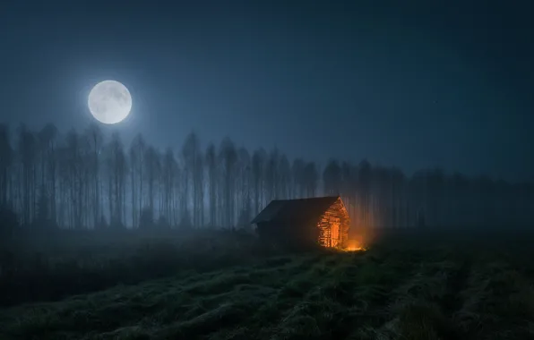 Picture the sky, light, night, house, the moon