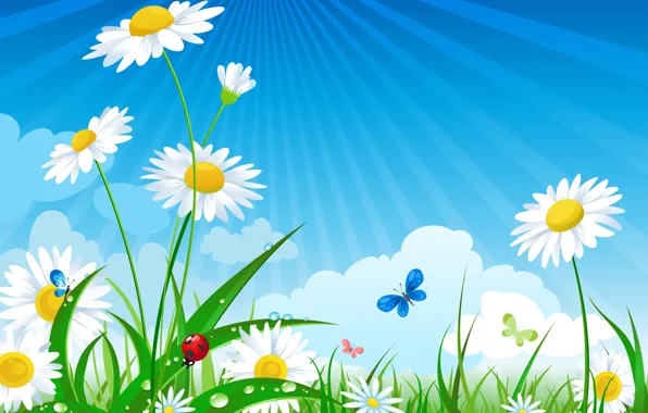 The sun, The sky, Grass, Chamomile, Insects