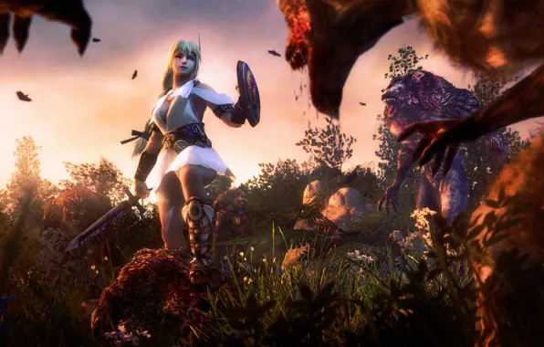 Sword, shield, Soul Calibur, werewolf, art, Sophitia