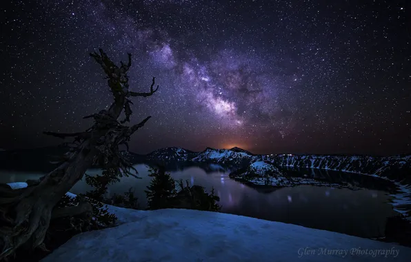 Stars, night, tree, Oregon, USA, the milky way, state, National Park crater Lake