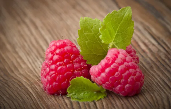 Picture berries, raspberry, foliage, wood