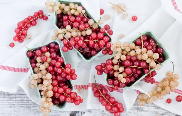 Berries, brush, currants