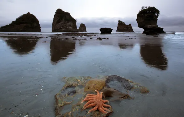 Sea, nature, rocks, shore