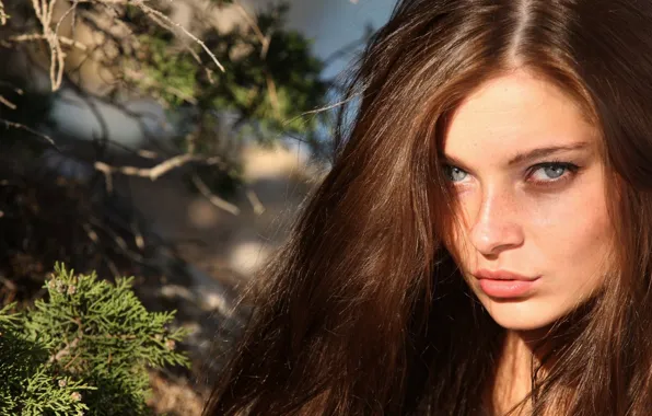 Girl, Cool, panties, legs, brown hair, nature, sexy girl, eyes