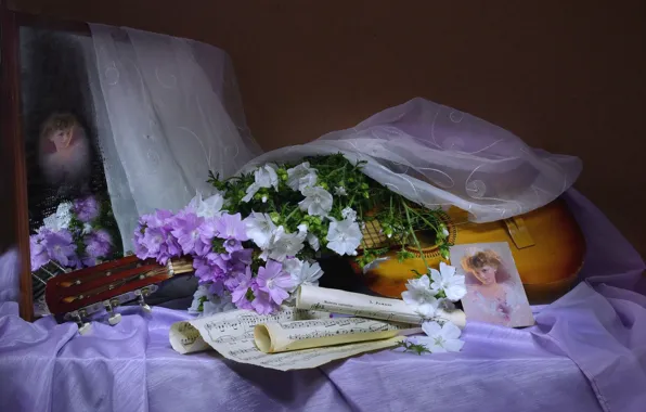 Girl, flowers, notes, guitar, portrait, veil