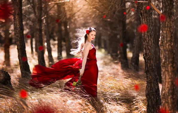 Picture forest, girl, the wind, roses, dress, in red, Little, Red Riding Hood