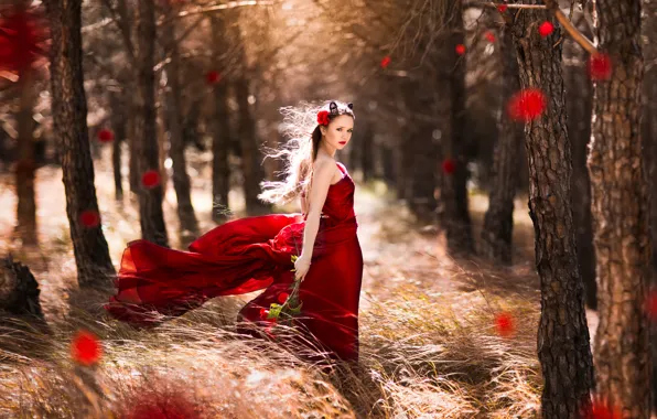 Forest, girl, the wind, roses, dress, in red, little, Red Riding Hood