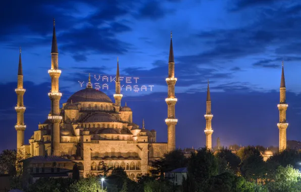 Picture trees, night, lights, Istanbul, The Mosque Of Sultan Ahmet, Turkey