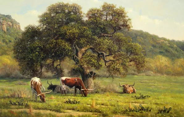 Picture landscape, picture, cows, Kyle Polzin