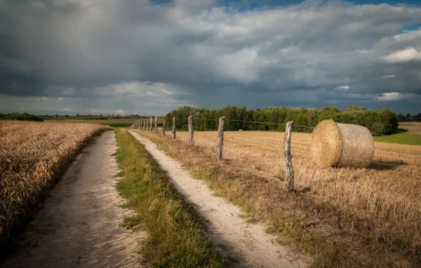 Road, field, hay, Kip, bales