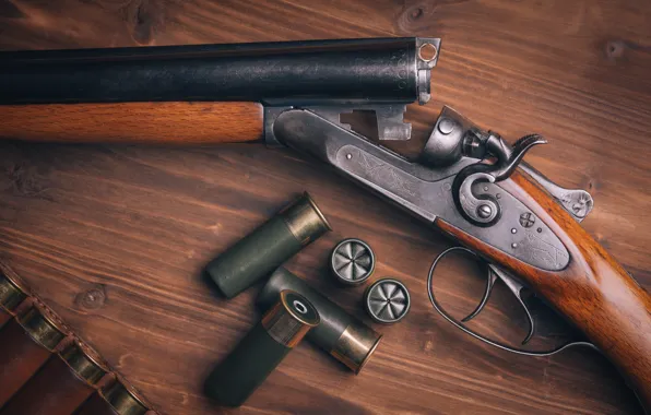 Picture wood, shotgun, Cartridges