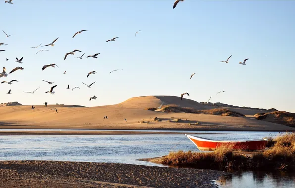 Picture sand, water, birds, river, boat, dunes, stranded