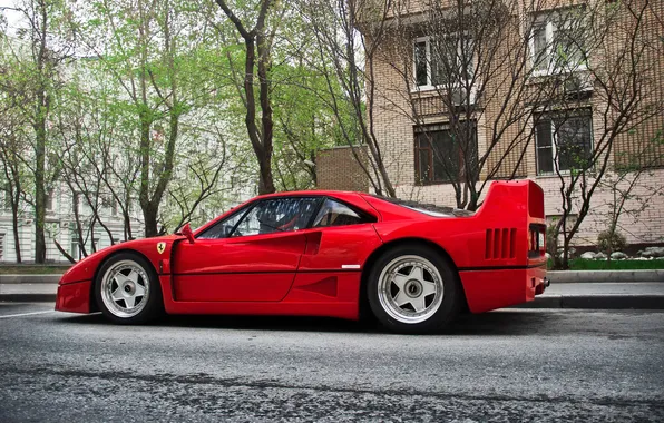 Trees, street, wheel, Ferrari, F40, apartments