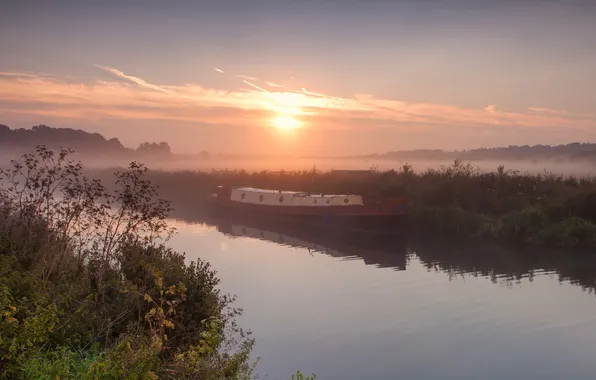 Picture grass, fog, river, shore, boat, plants, morning, channel