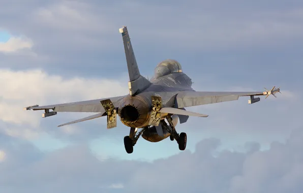 Weapons, army, the plane