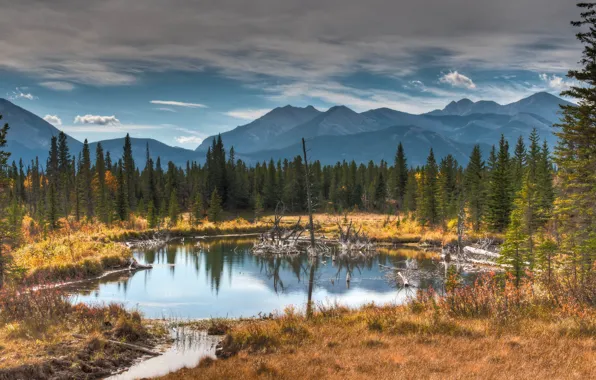 Picture autumn, forest, grass, water, mountains, lake