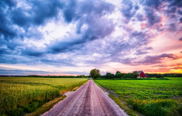 Picture road, field, summer, the sky, clouds, landscape, sunset, plant