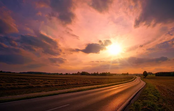 Road, field, the sun, clouds, rays, light, trees, landscape