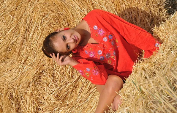 Picture girl, Wallpaper, hay