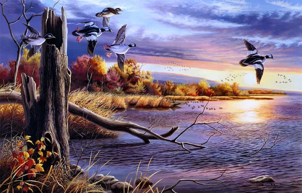 Autumn, water, birds, lake, figure, duck, painting, Mark S. Bray