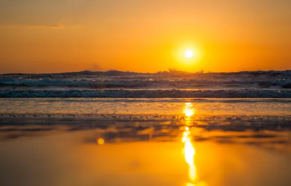 Picture waves, summer, beach, sunset, reflection, sunny