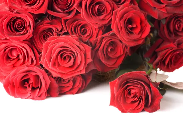 Flowers, roses, bouquet, red, red, Valentine`s day, roses