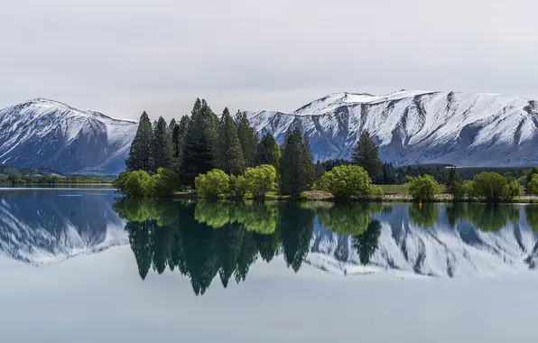 Forest, clouds, snow, trees, mountains, lake, rocks, shore