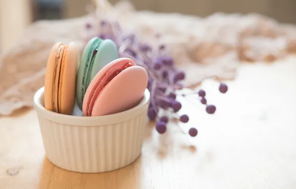 Colorful, dessert, cakes, sweet, sweet, dessert, macaroon, french