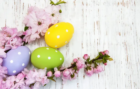 Flowers, eggs, spring, colorful, Easter, happy, wood, pink