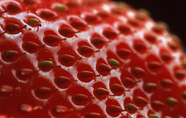 Macro, berries, strawberries