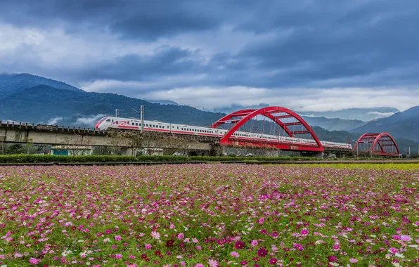 Picture field, landscape, bridge, train, Taiwan