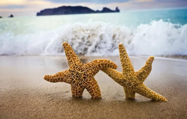 Sand, stars, Shore