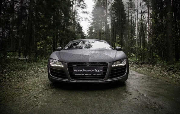 Car, machine, auto, forest, fog, rain, Audi, audi