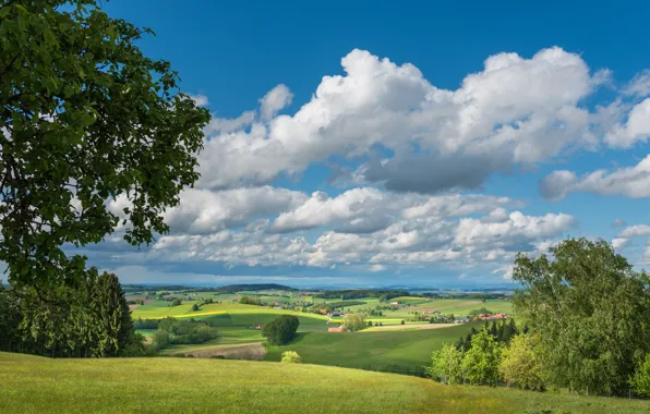 Picture field, the sky, clouds, trees, hills, dal, house, settlement
